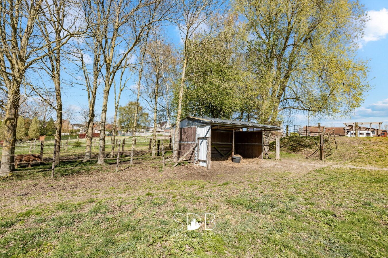 Landelijke woning met stalgebouw, buitenpiste en graslanden 