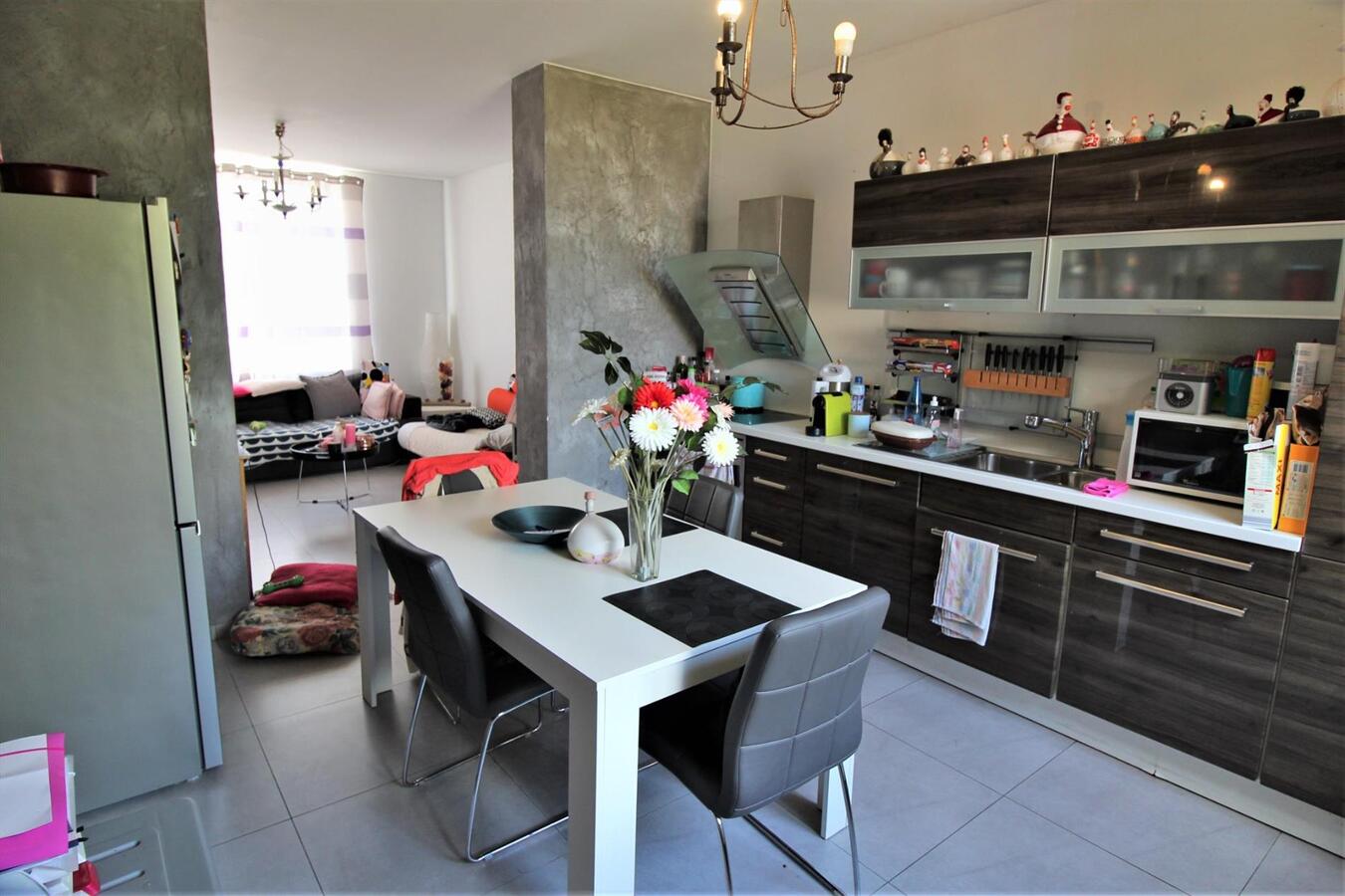 Maison avec centre équestre et appartement supplémentaire sur environ 1.3ha à Hannut (Liège) 