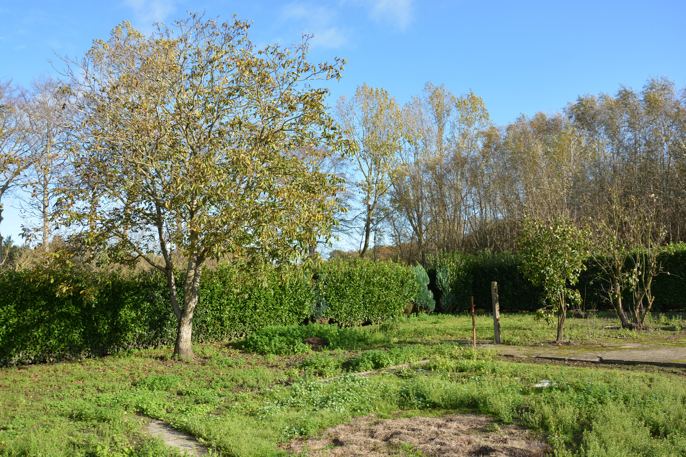 Prachtig gelegen woning met bijgebouw 