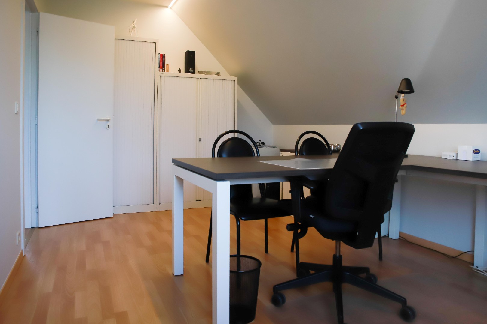 Prachtige alleenstaande woning met garage, carport en tuin op 648m² 