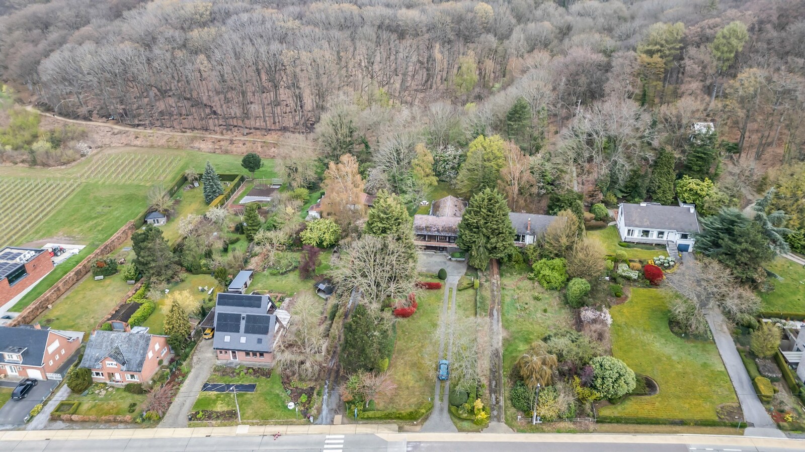 LINDEN - 🌳 villa op +1900 m2 