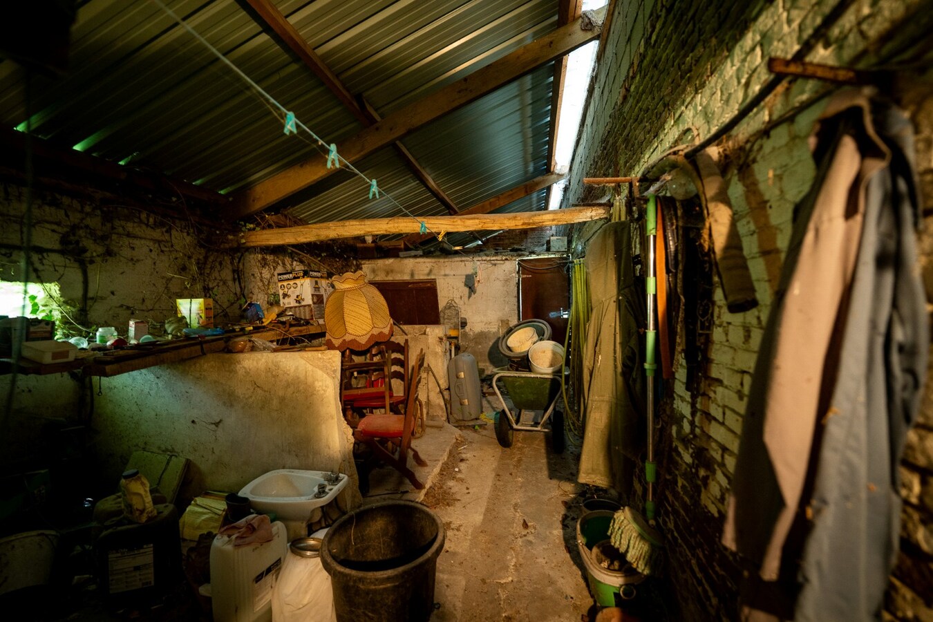 Hoeve met stalgebouwen op ca. 1ha te Bree 