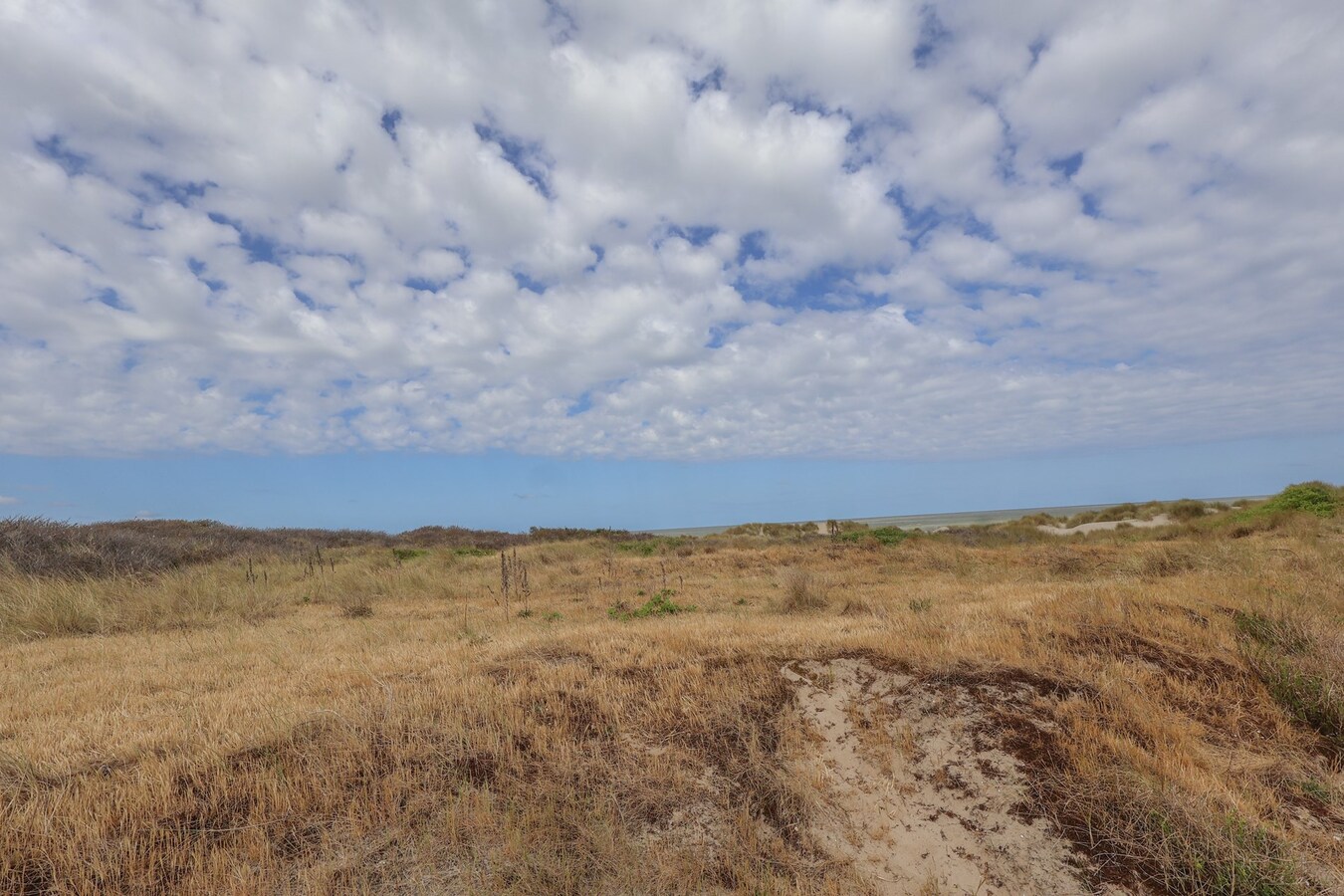 App. avec 2 chambres 