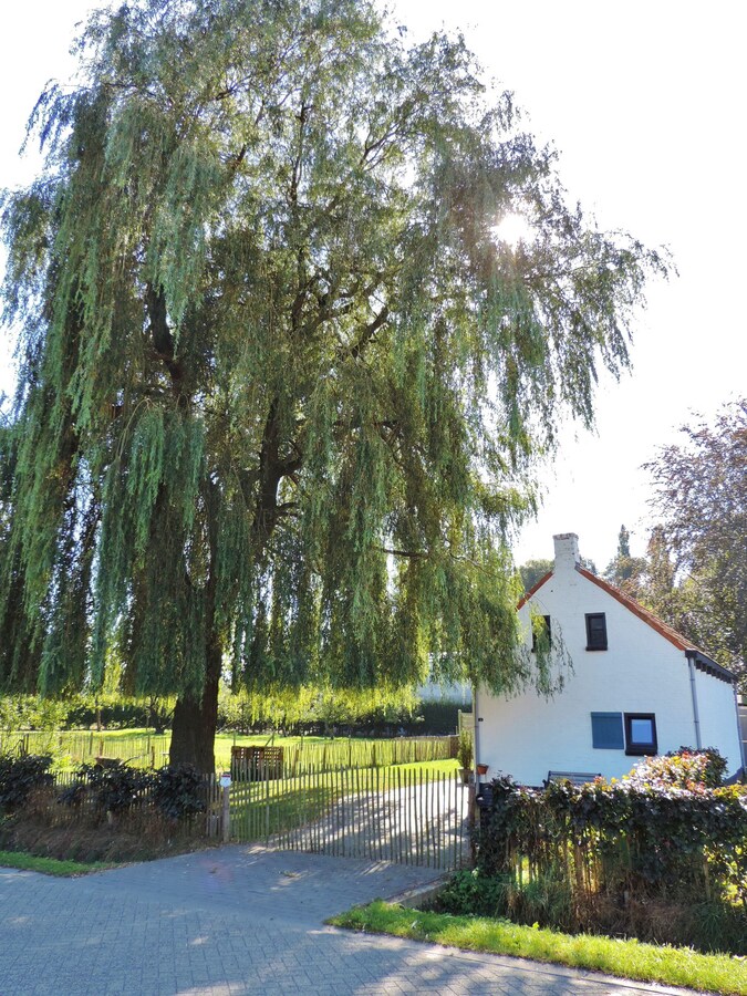 Woning verhuurd in Weelde