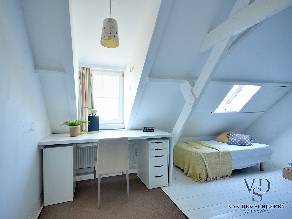 Parel nabij de Baaigemse Prinsenmolen. 