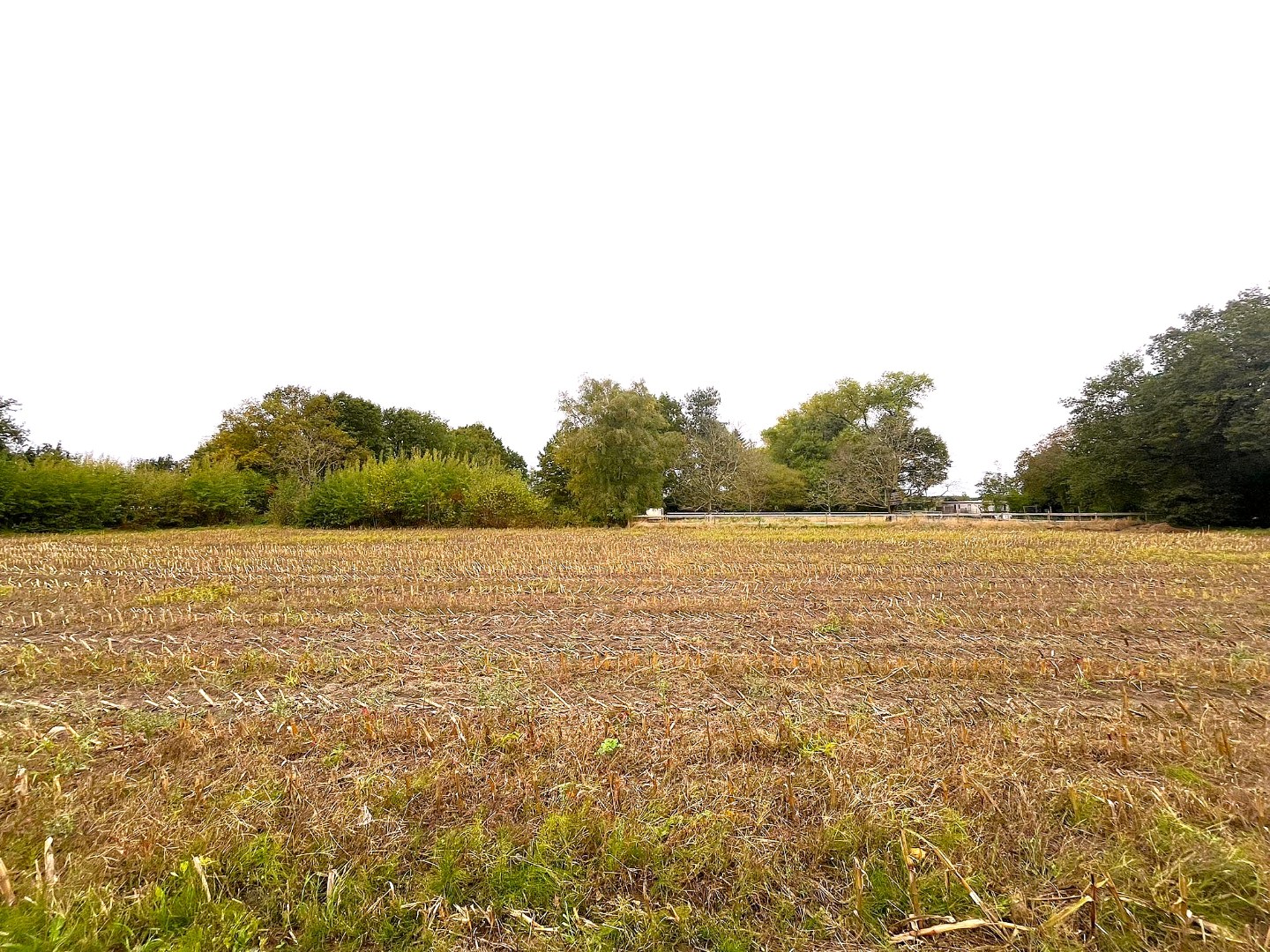 Unieke bouwgrond van 7 are 35 ca. voor open bebouwing te Geel 