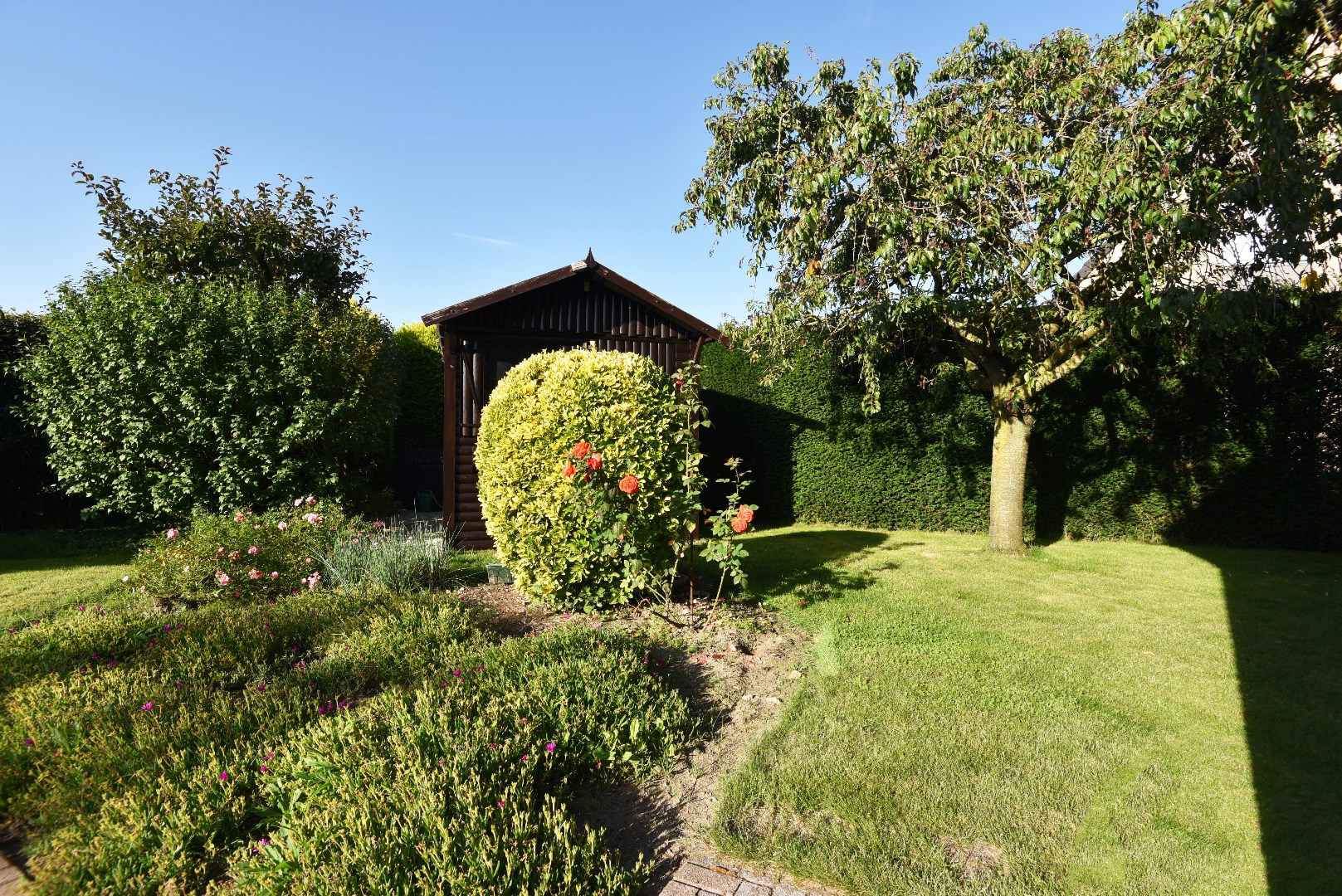 Open bebouwing met 3 slpks en tuin te Adegem 