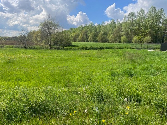 Te koop grond - Begijnendijk