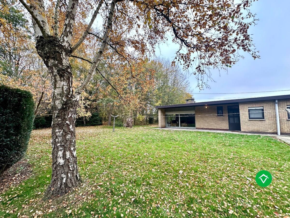 Ruime bungalow op 4140 m² met prachtige zichten en absolute rust in Torhout 