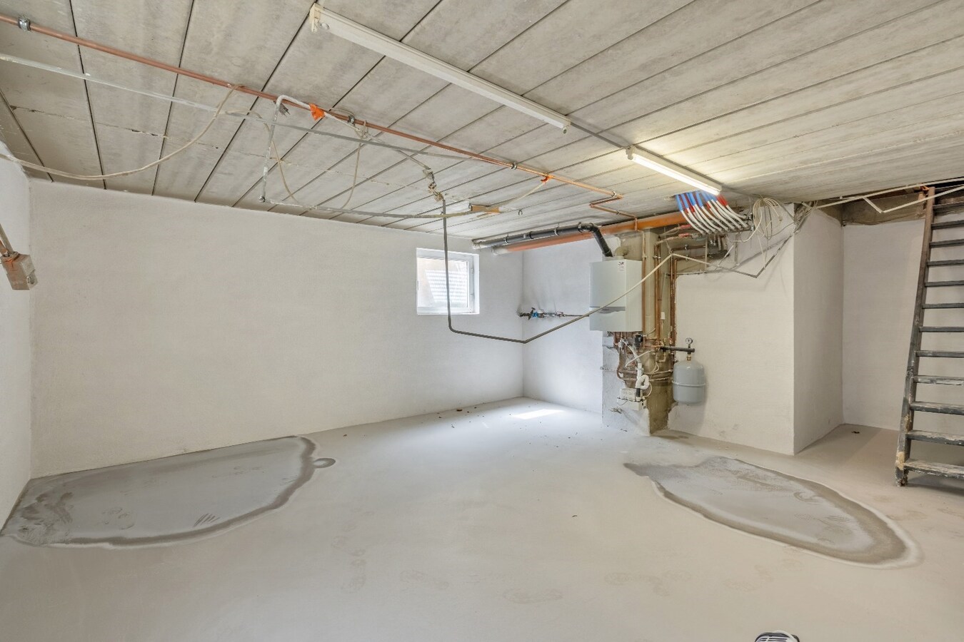 Ruime woning in Dorne(Maaseik) met 4 slaapkamers, gelegen op een uitzonderlijk ruim perceel. 