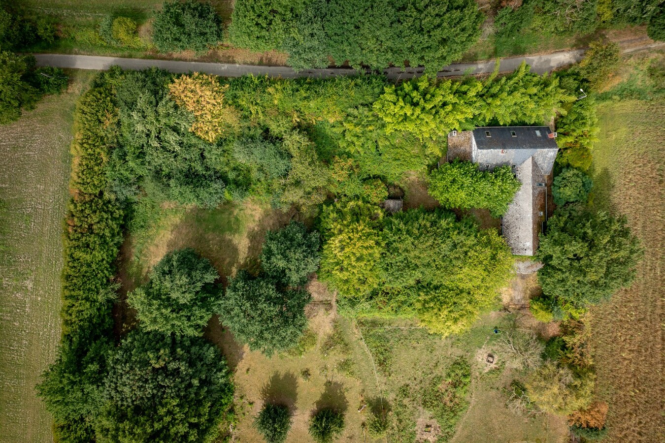 Karaktervolle hoeve met weides op ca. 2ha te Herk-de-Stad 