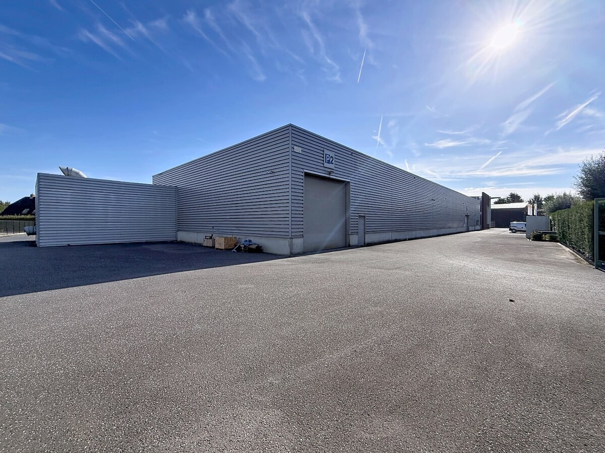 Hangar (Loods) te huur in Ooigem