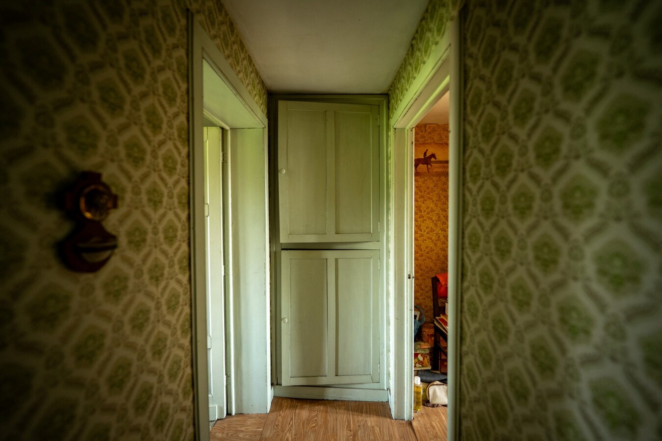 Hoeve met stalgebouwen op ca. 1ha te Bree 