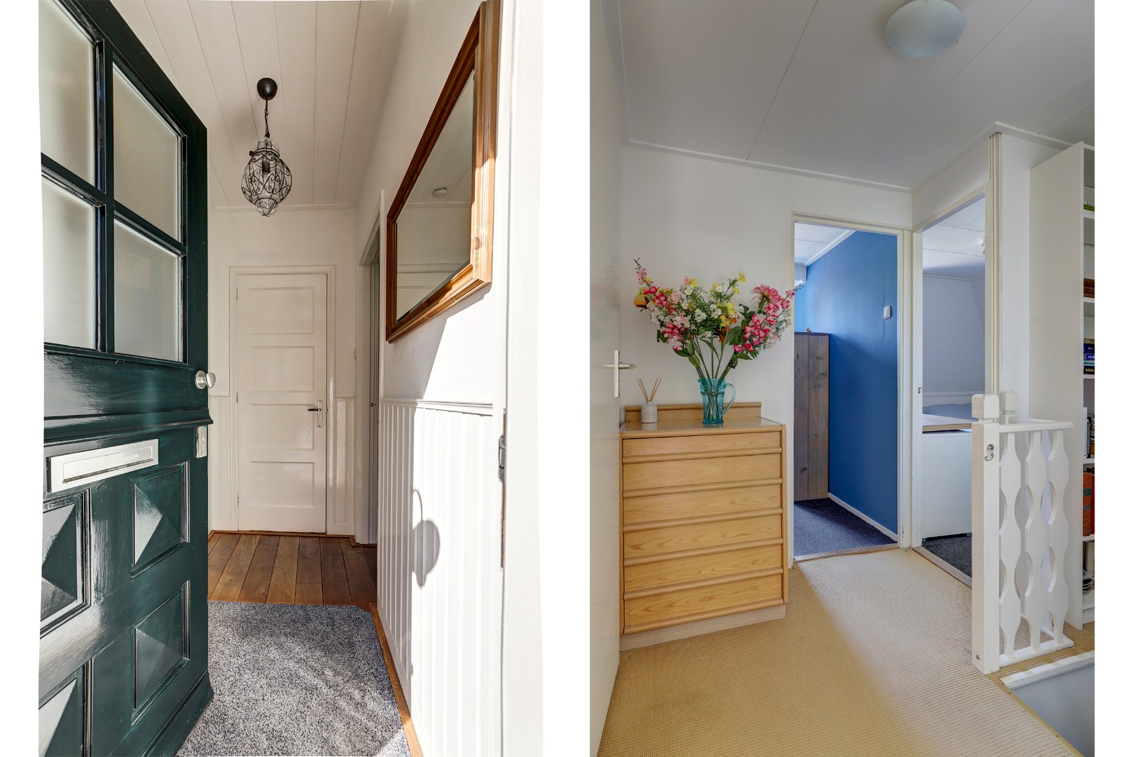 Vrijstaande woning met diepe zonnige tuin, overkapping en royale bijgebouwen 