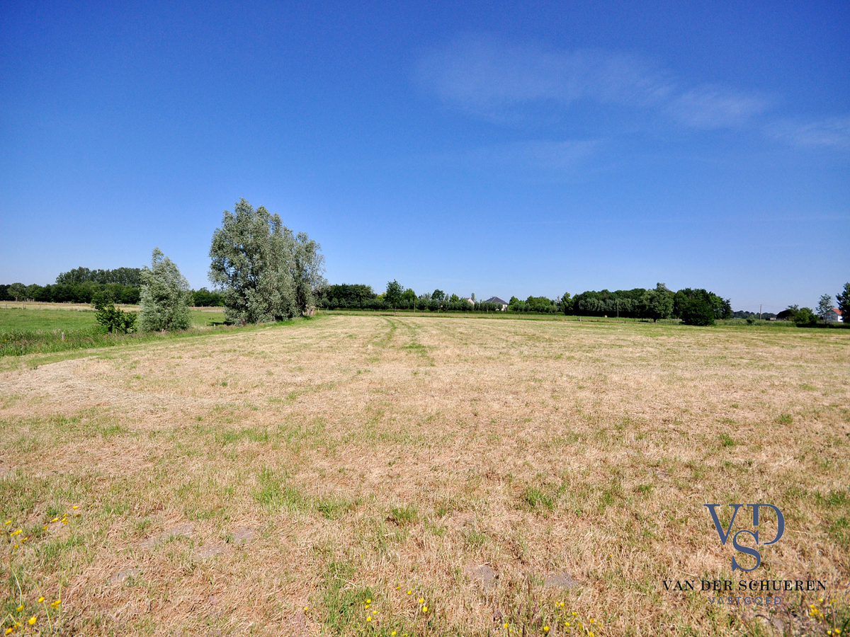 Unieke eigendom op meer dan 2400 m2! 