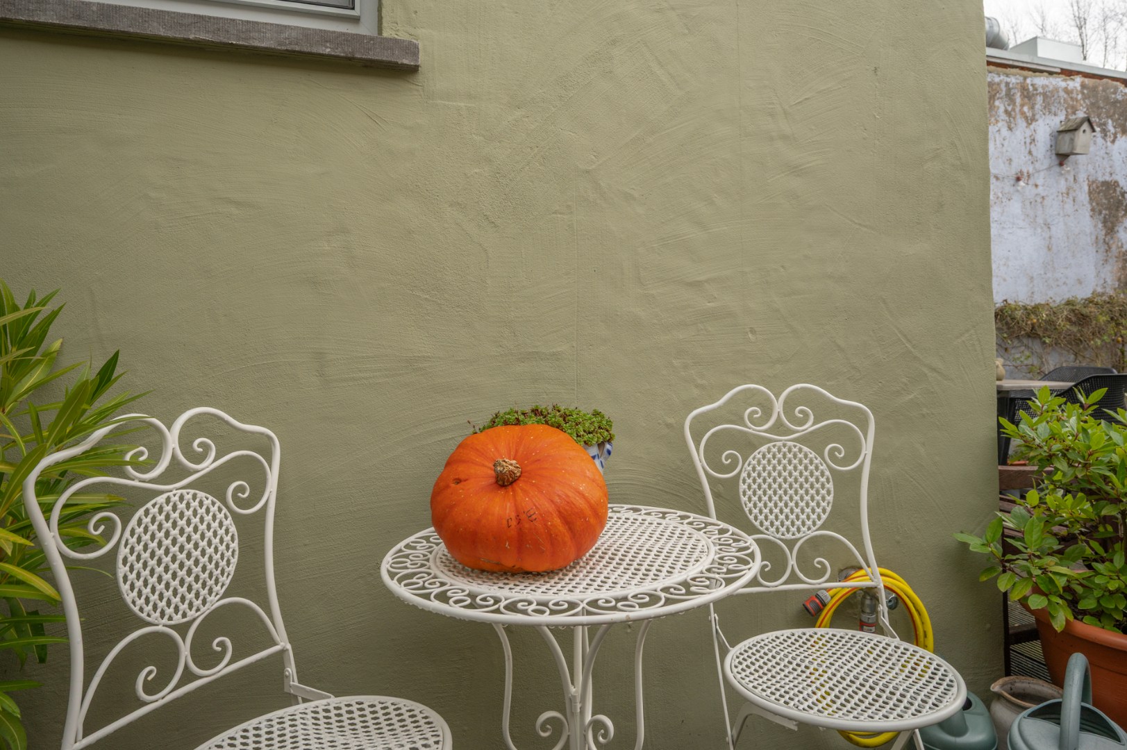 Instapklare en charmante woning met 3 slaapkamers en tuin 