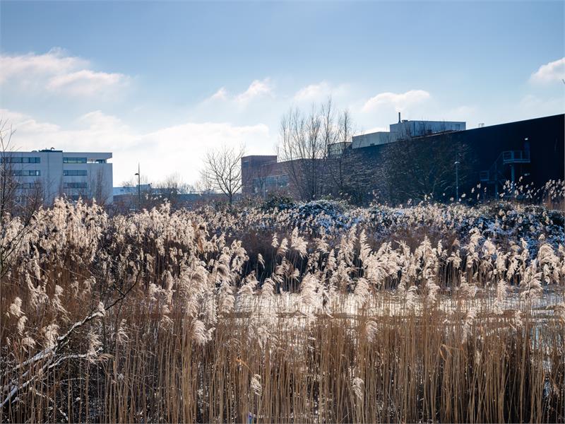 Renovatiekans in hippe buurt 