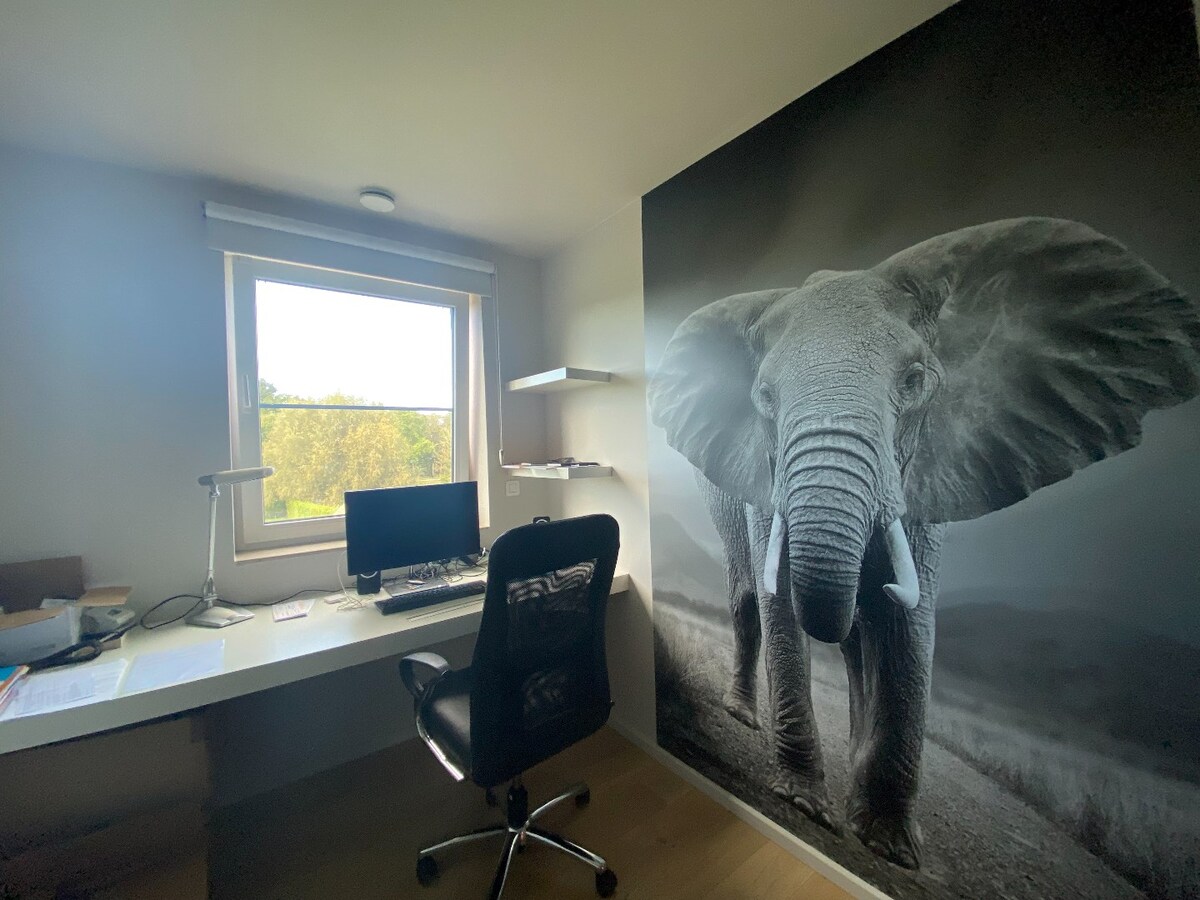 Maison contemporaine 3 chambres avec jardin à Frasnes ! 