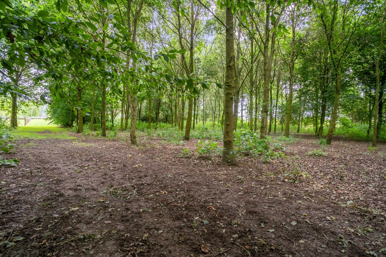 Unieke vierkantshoeve op toplocatie in Heuvelland te koop! 
