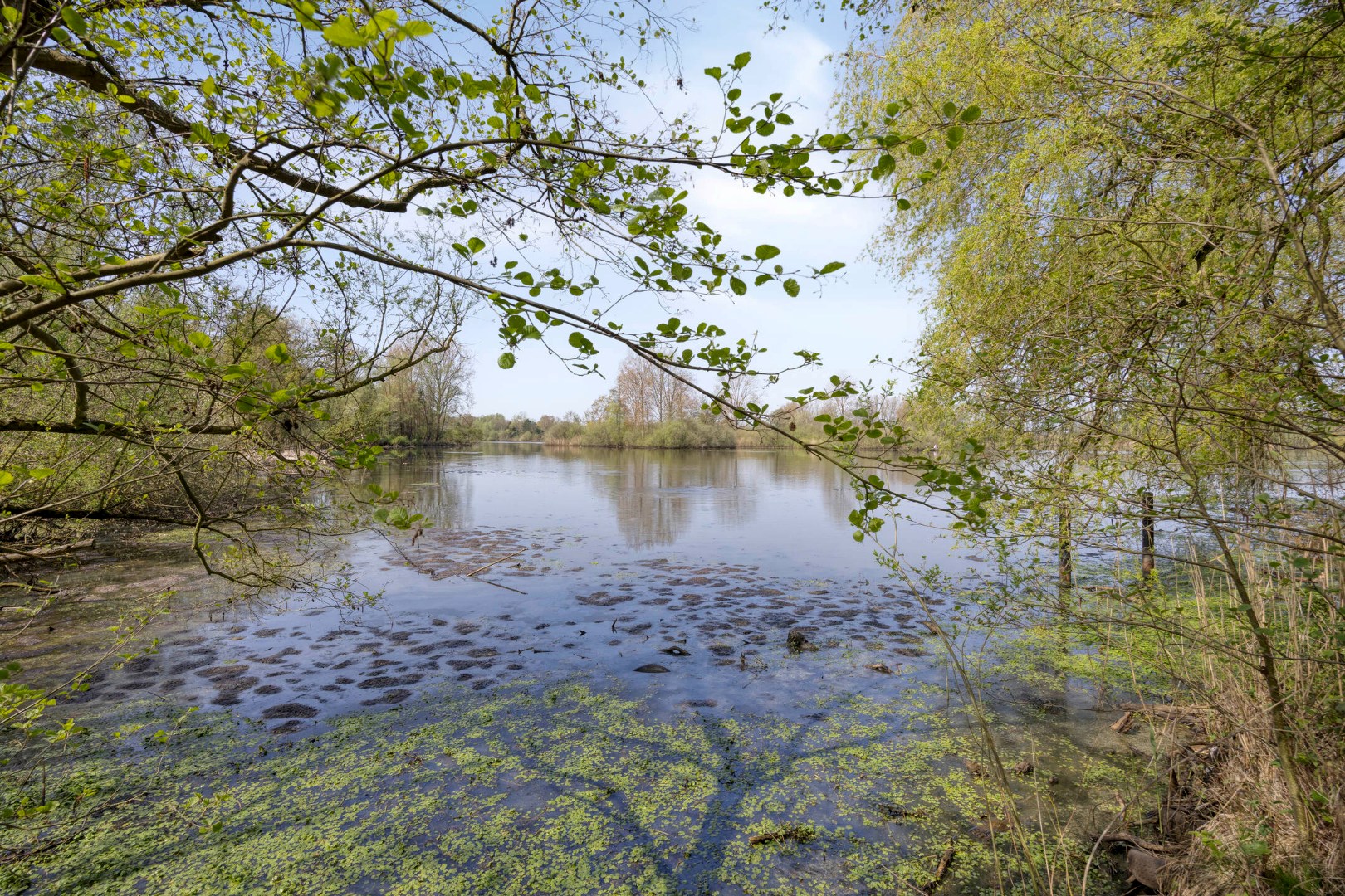 Prachtig perceel met vijvers op unieke ligging in Geel 