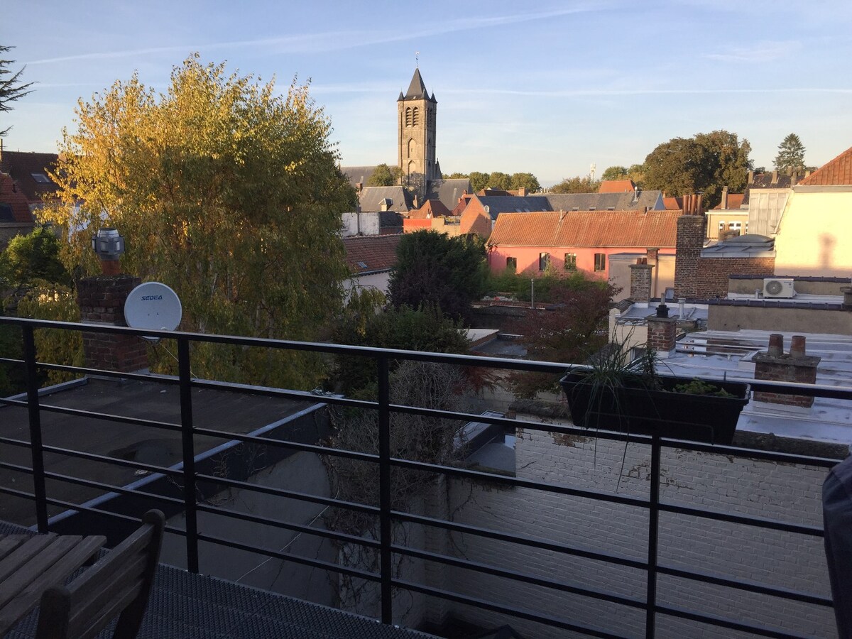 Superbe vue cathédrale et Beffroi 