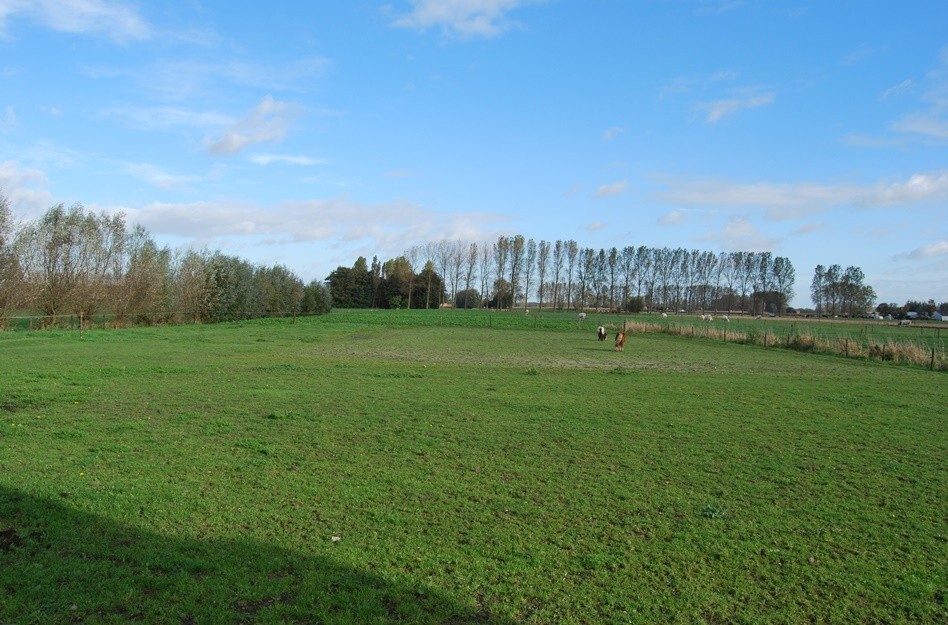 Idyllische woning met stalgebouwen op ca. 5000m² te Sint-Laureins 