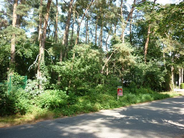 Verkocht grond - Mol