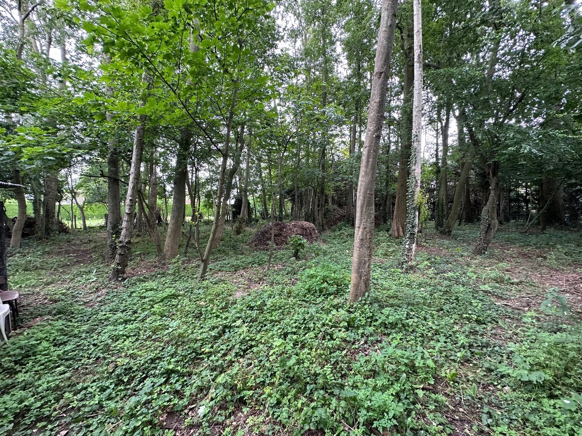 Grond te koop te Koekelare 