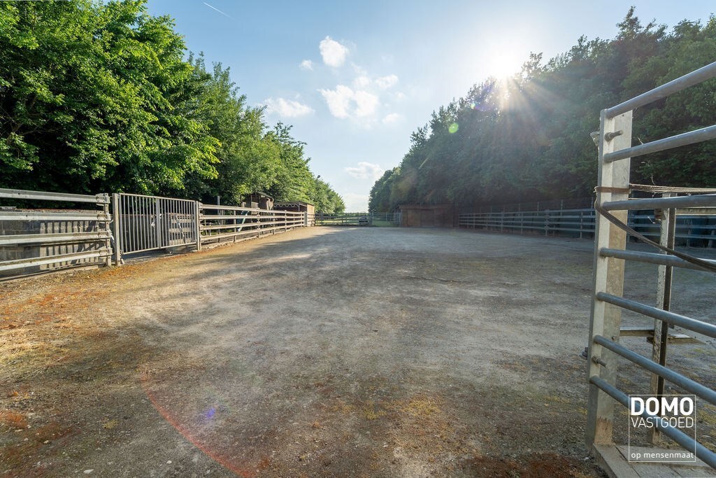 Ruime villa met paardenaccommodatie en wedstrijdstal gelegen te Herk-de-Stad - EPC-label: B - Bewoonbare vloeroppervlakte: 296m² 