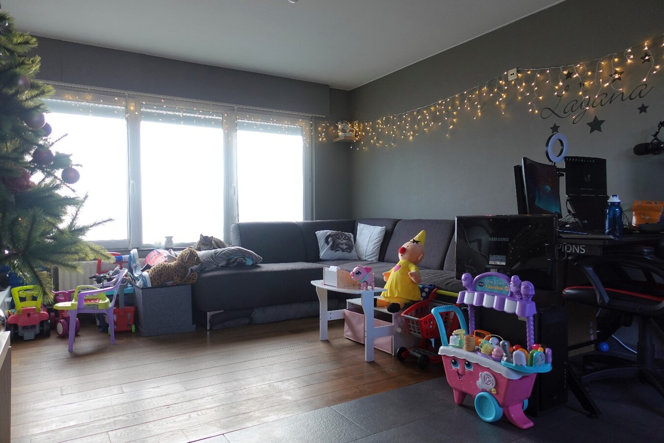 Gezellige gerenoveerde woning met tuin 