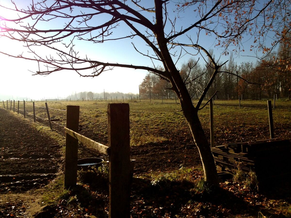 Pasture land sold in Waarloos