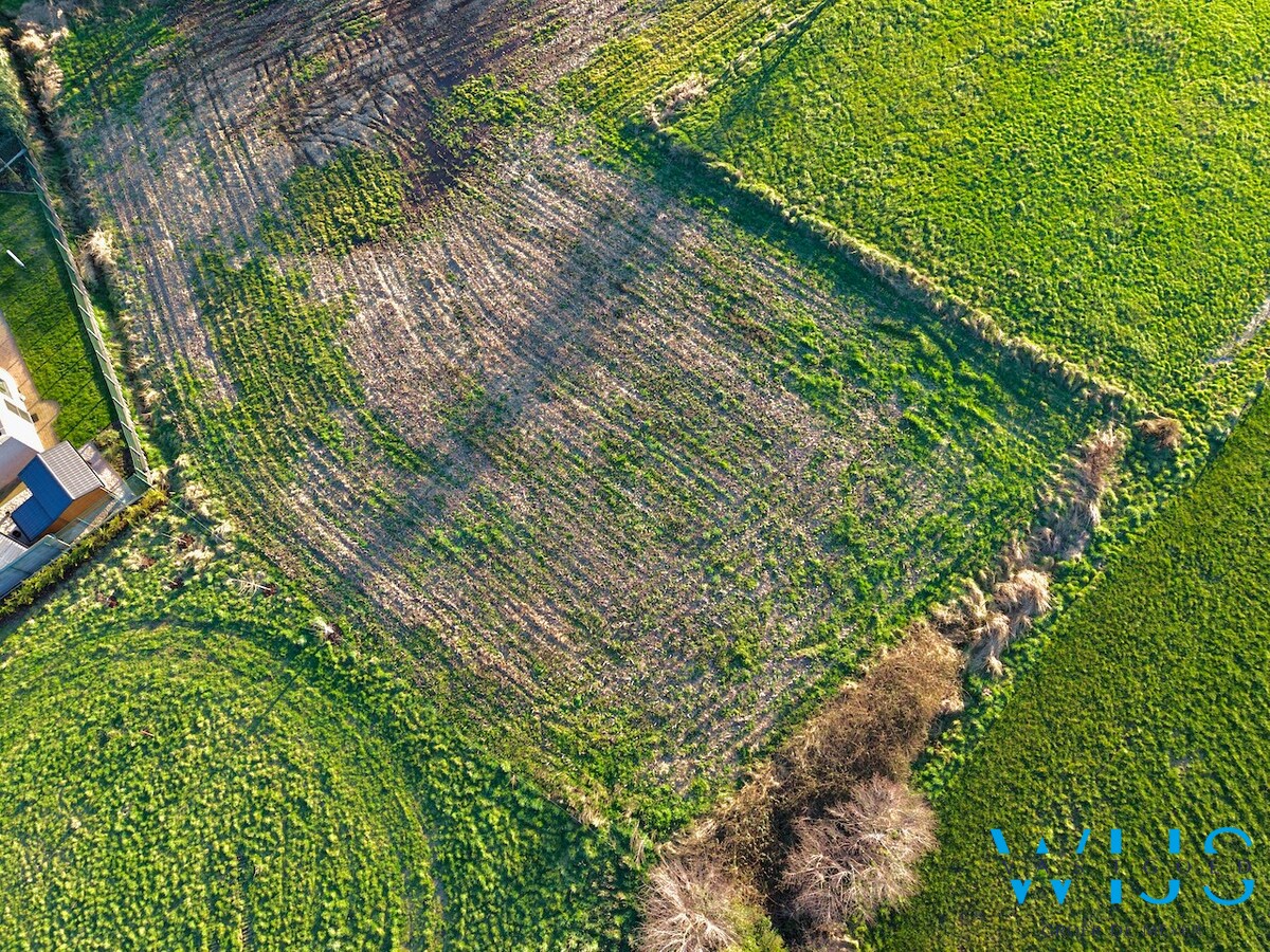 Projectgrond Rieme/Ertvelde 