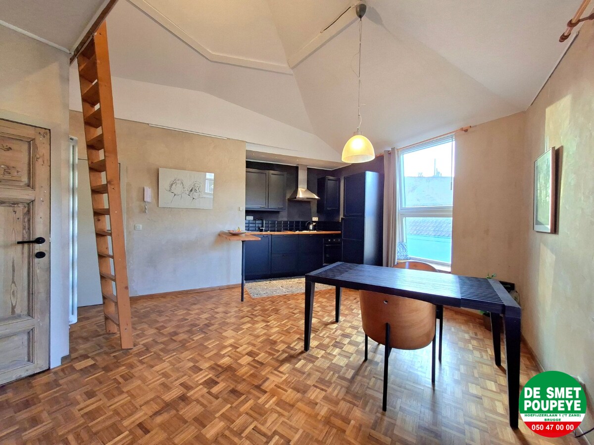 Gezellige dakappartement 