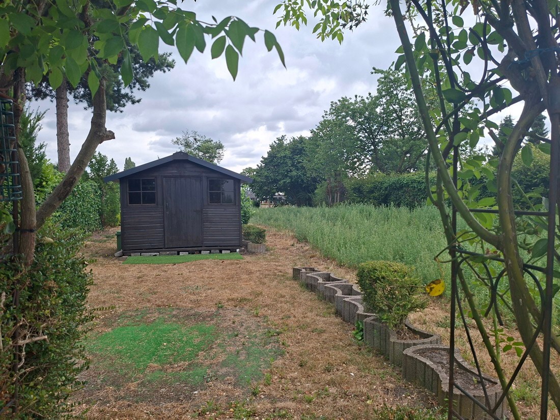 Tuin