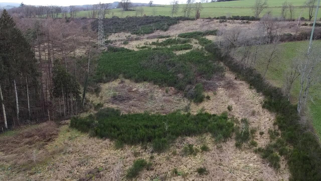 Perceel van 4ha gelegen in agrarische zone 