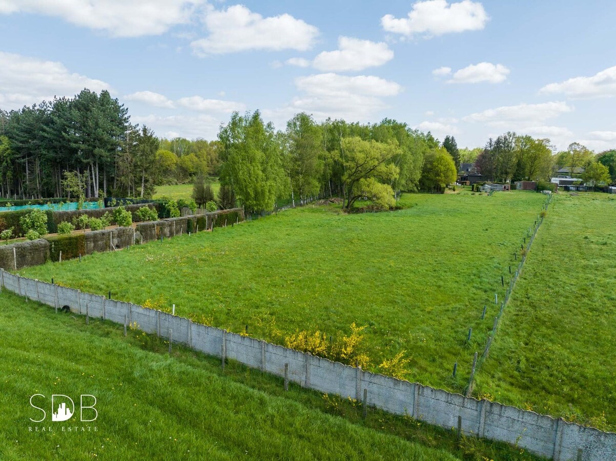 Vrijstaande gezinswoning in bungalowstijl met grasland op circa 1ha. 