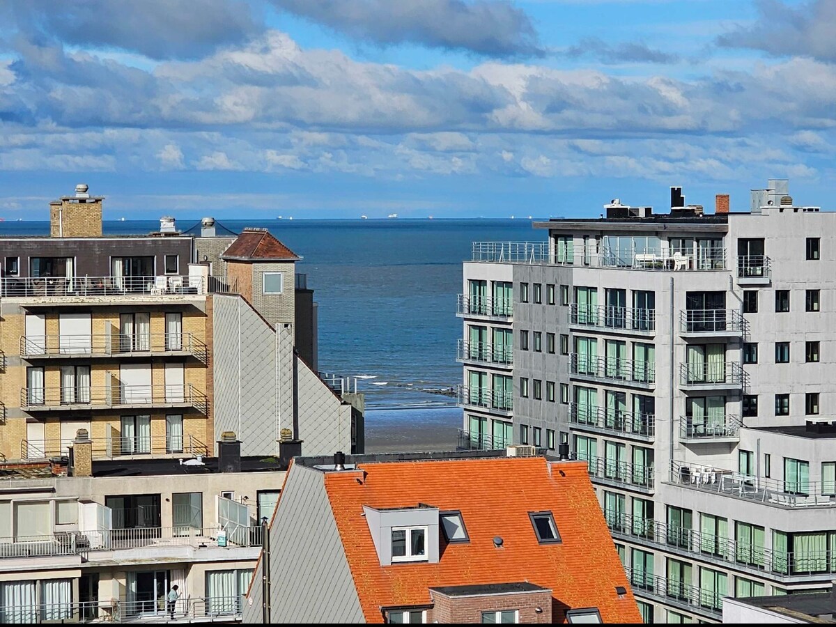 Penthouse wit a unique terrace 