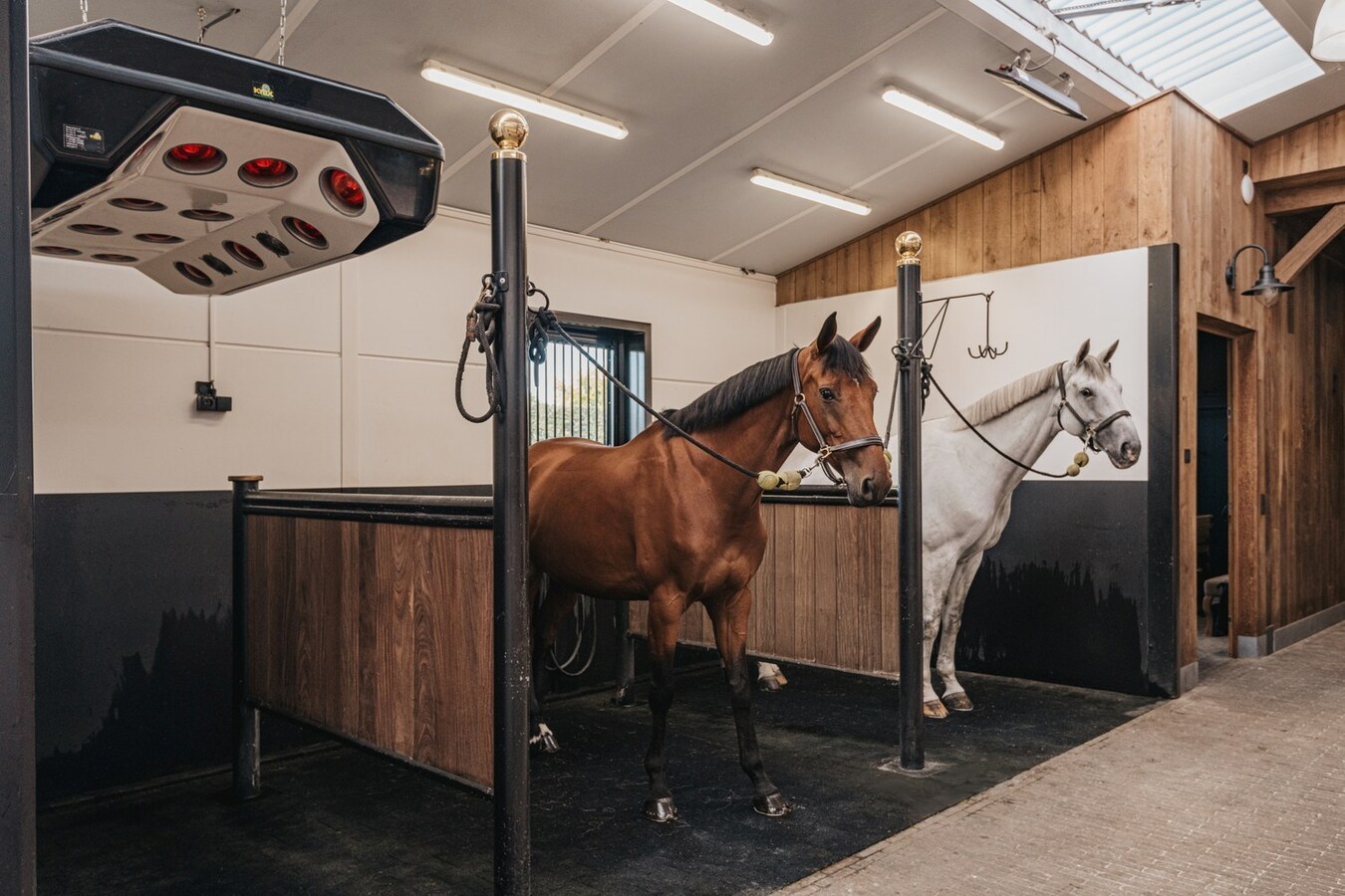 Exclusive equestrian accommodation on approx. 2,5 ha/6,18 acres in Geel (Antwerp region) 