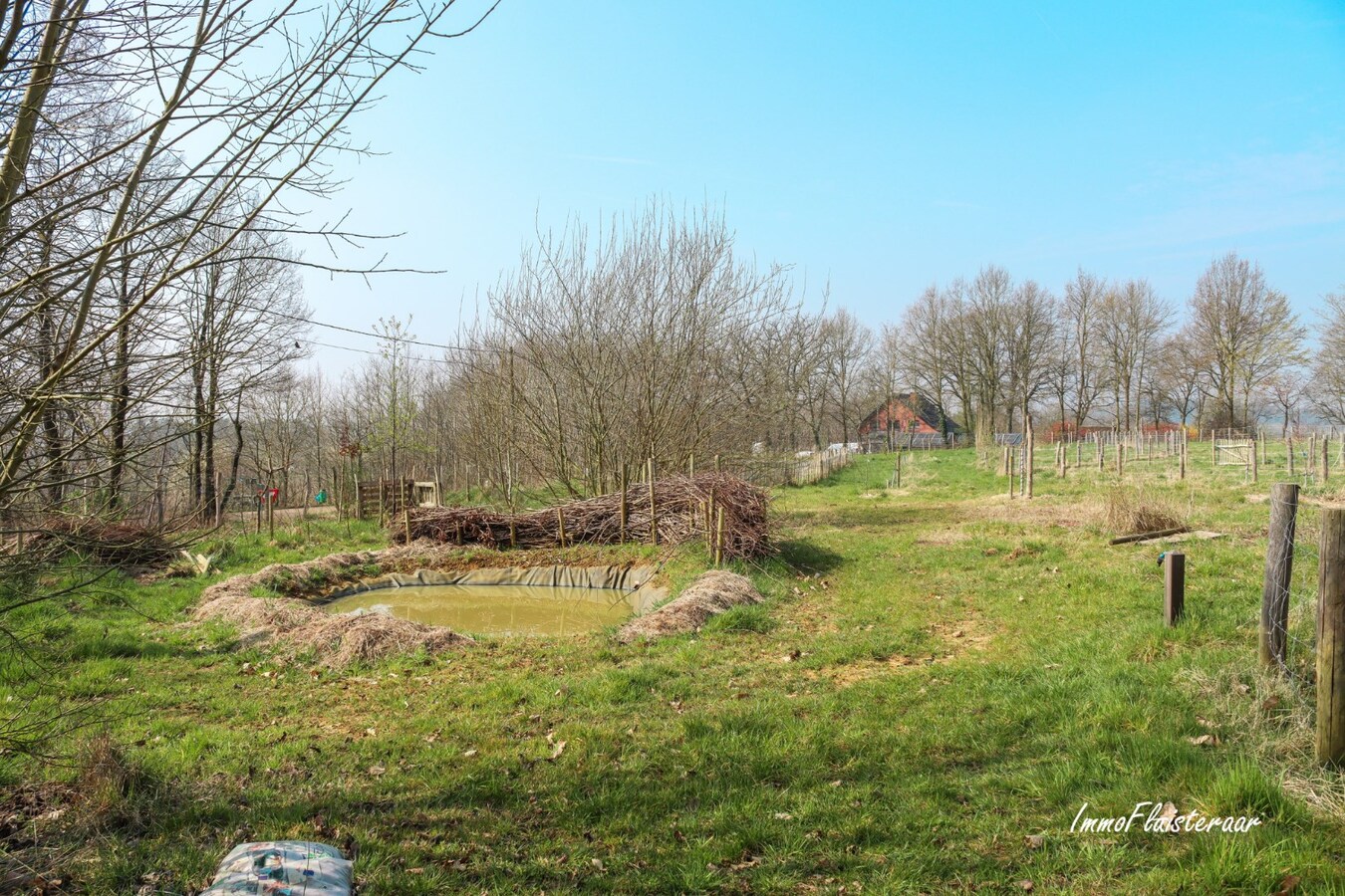 Champ de 90 ares à Tielt-Winge 