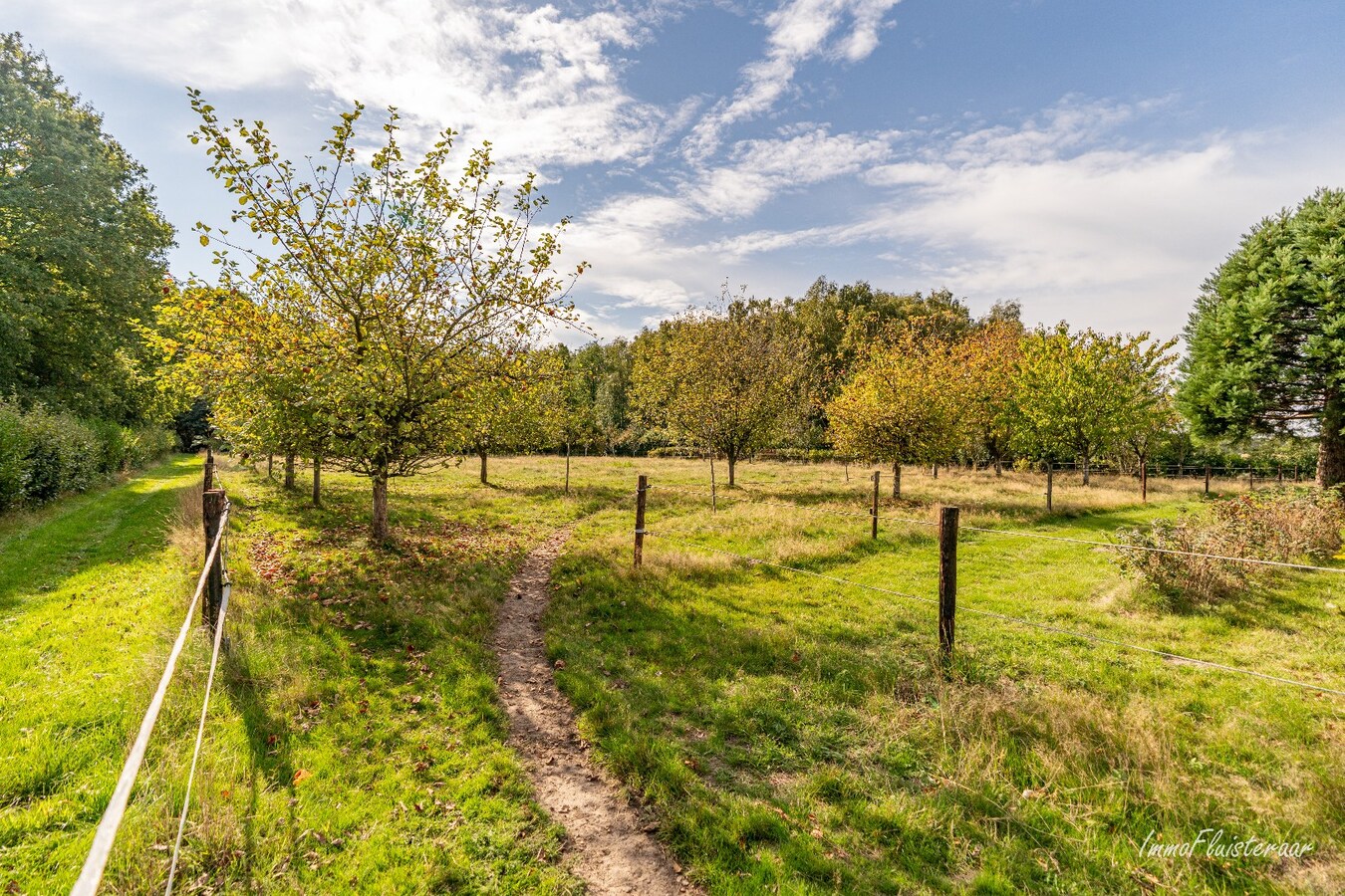 Instapklare hoeve met paardenfaciliteiten op ca. 2,5 ha te Gruitrode (Oudsbergen) 