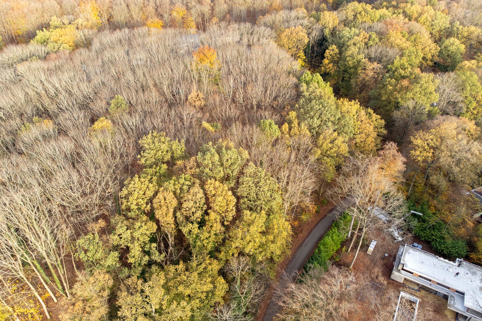 Prachtige bouwgrond van 22a 63ca te koop op een toplocatie in Hoog-Linden! 