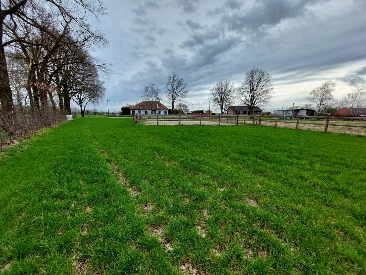 Verkocht weiland - Meerhout