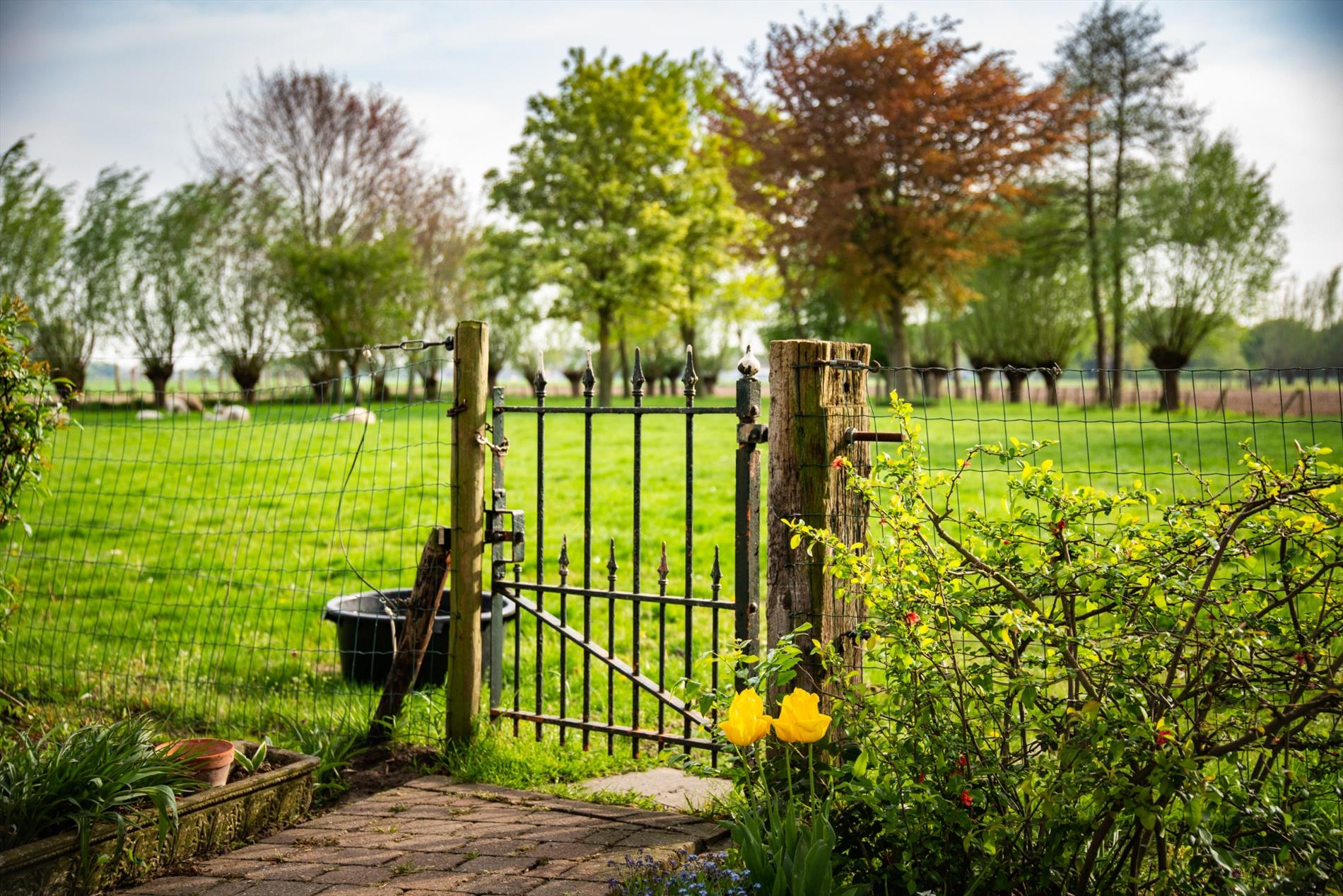 Uniek landhuis op 7.390m²  te Bassevelde 
