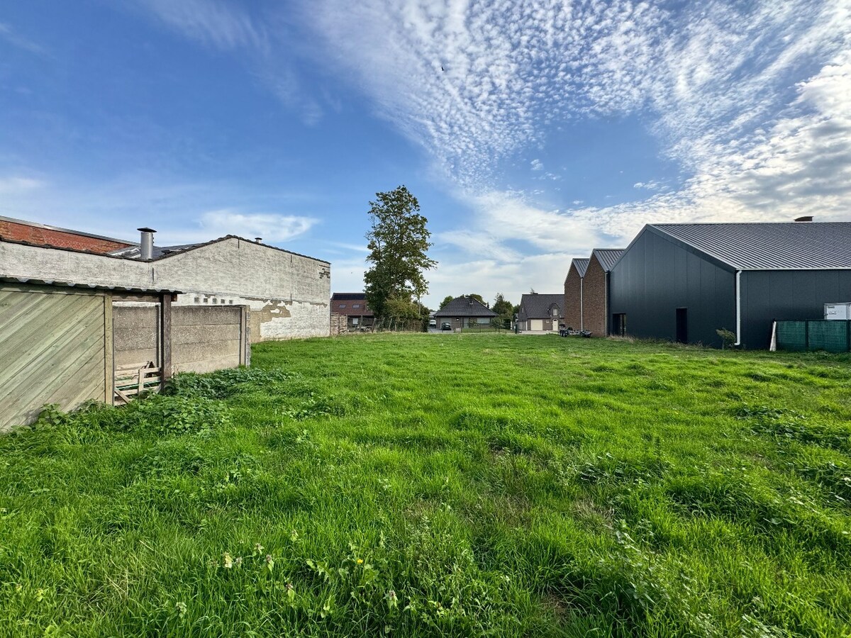 Te koop grond - Olsene