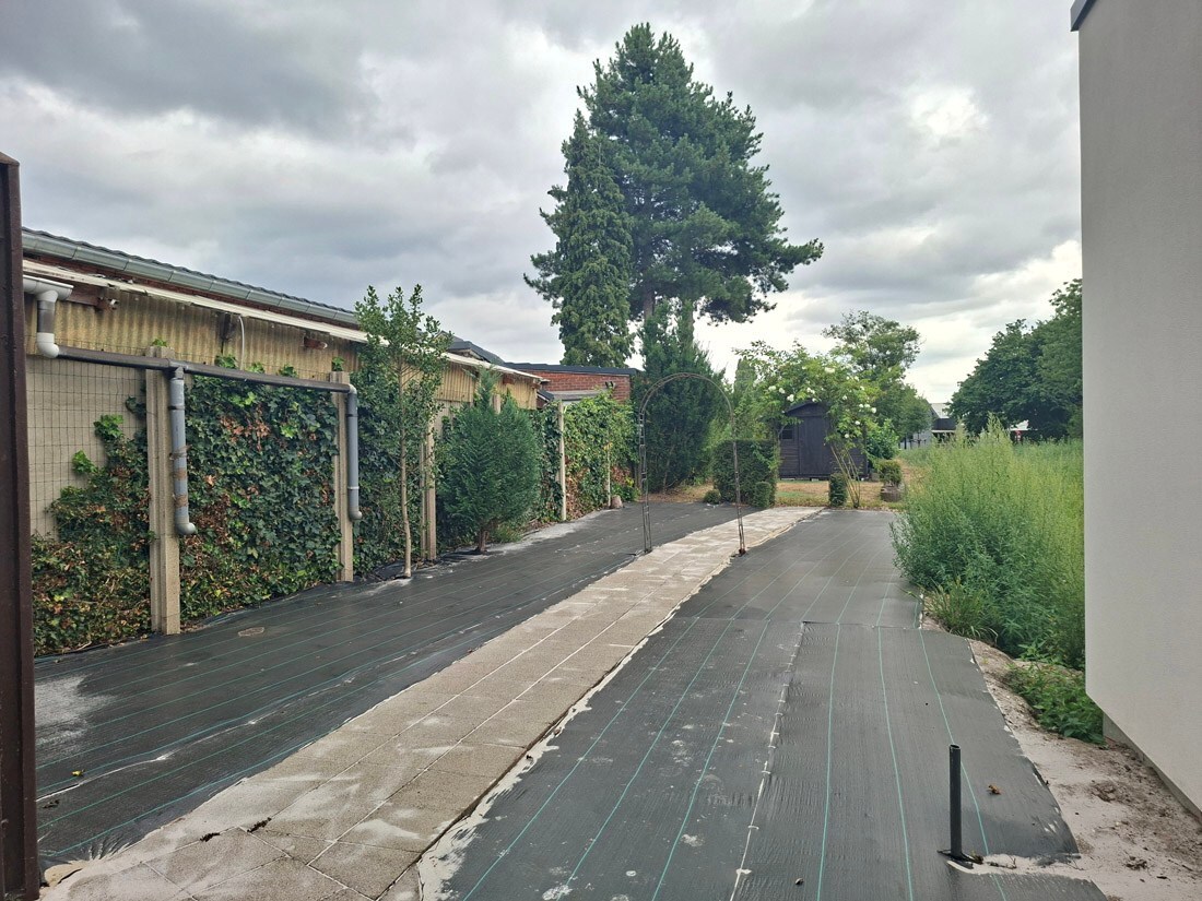 Tuin