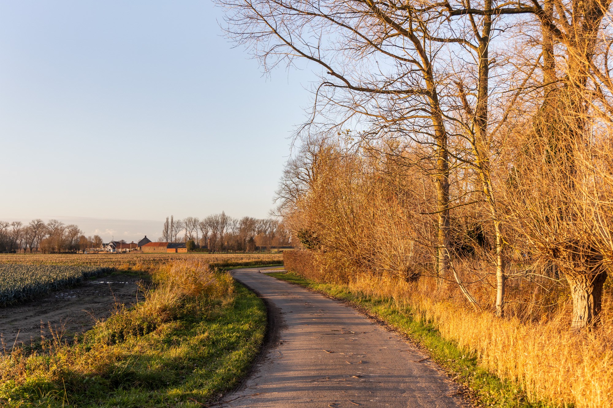 Authentiek gerenoveerde hoeve te Varsenare — een uitzonderlijk landelijke eigendom nabij Brugge 