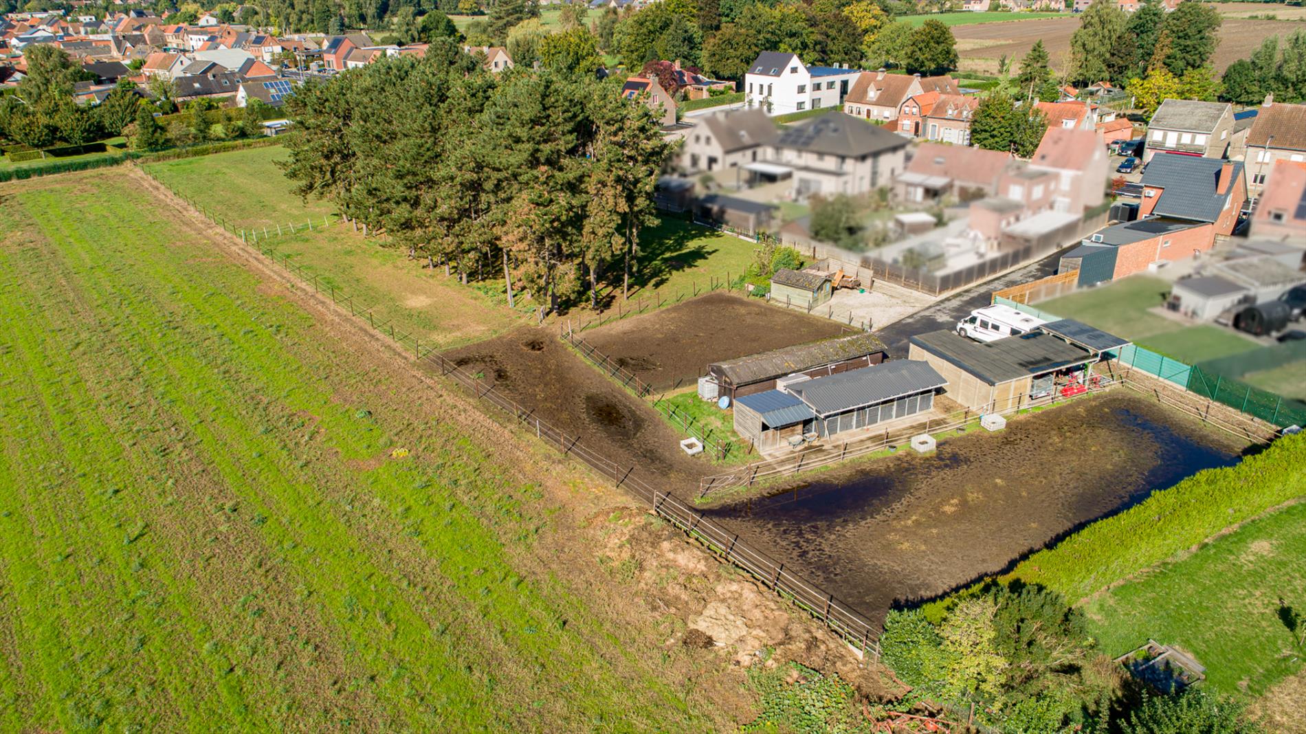 Energiezuinige woning op 6.229 m² met 4 slpks én ideaal voor paardenliefhebbers te Adegem 