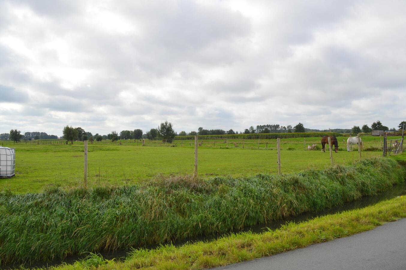 Te renoveren woning met loods en weide op 7.327m² te Zele 