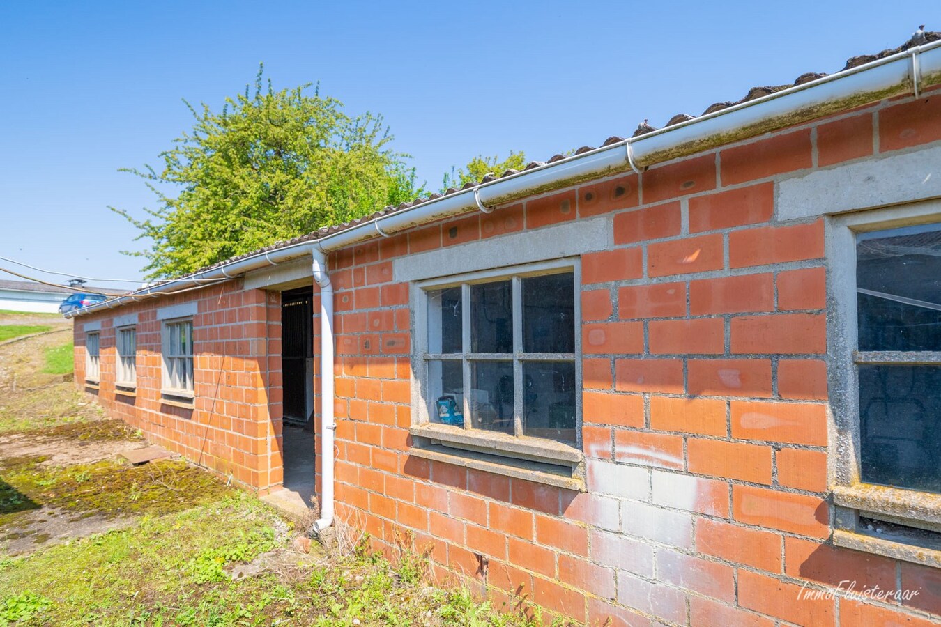 Ferme carrée à rénover sur environ 60 ares à Borlo (Gingelom) 