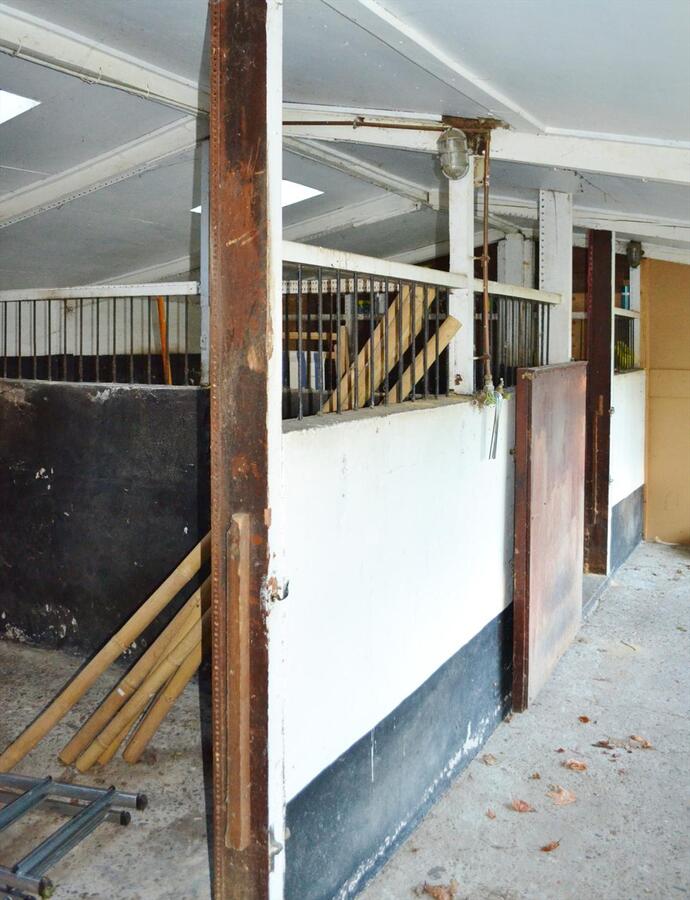 Ruime villa met stallingen en weide op 4900m² te Schoten 